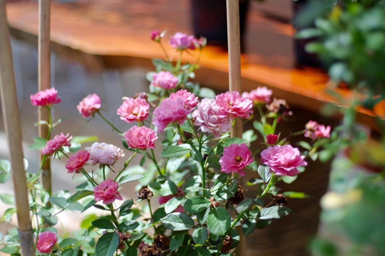 Little Dalat Coffee And Homestay Cần Thơ Exterior foto
